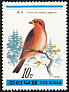 Red Crossbill Loxia curvirostra  1988 Birds 