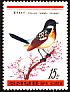 Amur Stonechat Saxicola stejnegeri  1988 Birds 