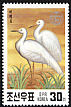 Great Egret Ardea alba  1991 Endangered birds 
