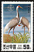White-naped Crane Antigone vipio  1991 Endangered birds 