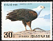African Fish Eagle Haliaeetus vocifer  1992 Birds of prey 