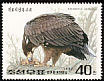 Steller's Sea Eagle Haliaeetus pelagicus  1992 Birds of prey 