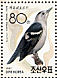 Daurian Starling Agropsar sturninus  1992 Birds  MS