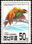 Magnificent Bird-of-paradise Diphyllodes magnificus  1993 Birds 