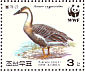 Swan Goose Anser cygnoides  2004 WWF Booklet