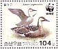 Swan Goose Anser cygnoides  2004 WWF Booklet