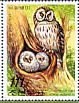 Ural Owl Strix uralensis  2006 Owls Booklet
