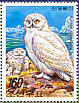 Snowy Owl Bubo scandiacus  2006 Owls Booklet