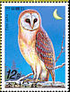 Western Barn Owl Tyto alba  2006 Owls 