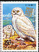 Snowy Owl Bubo scandiacus  2006 Belgica 06 logo on 2006.03 