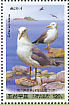 Vega Gull Larus vegae  2009 Central Zoo Booklet