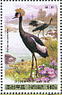 Black Crowned Crane Balearica pavonina  2009 Central Zoo Booklet