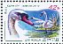 Mute Swan Cygnus olor  2011 Birds Sheet with 2 sets