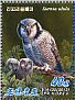 Northern Hawk-Owl Surnia ulula  2013 Owls Sheet with 2 sets