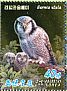 Northern Hawk-Owl Surnia ulula  2013 Owls Booklet