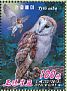 Western Barn Owl Tyto alba  2013 Owls Booklet