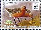 Red Knot Calidris canutus  2015 WWF Booklet