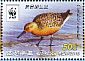 Red Knot Calidris canutus  2015 WWF Booklet