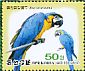Blue-and-yellow Macaw Ara ararauna  2017 Pyongyang Central Zoo  MS MS