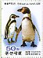 African Penguin Spheniscus demersus  2017 Pyongyang Central Zoo 7v booklet