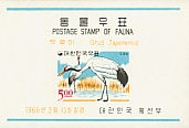 Red-crowned Crane Grus japonensis  1966 Korean birds 