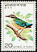 Fairy Pitta Pitta nympha  1976 Birds 