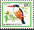 Black-capped Kingfisher Halcyon pileata  1986 Birds 