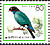 Oriental Dollarbird Eurystomus orientalis  1986 Birds 