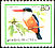 Black-capped Kingfisher Halcyon pileata  1987 Birds clr