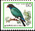 Oriental Dollarbird Eurystomus orientalis  1987 Birds clr