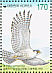 Peregrine Falcon Falco peregrinus  1999 Protection of endangered species 