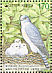 Chinese Sparrowhawk Accipiter soloensis  1999 Protection of endangered species 