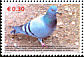 Rock Dove Columba livia  2006 Fauna in Kosovo 5v set