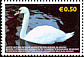 Mute Swan Cygnus olor  2006 Fauna in Kosovo 5v set