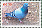 Rock Dove Columba livia  2006 Fauna in Kosovo 5v sheet