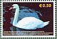 Mute Swan Cygnus olor  2006 Fauna in Kosovo 5v sheet