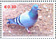 Rock Dove Columba livia  2006 Year 2006 18v sheet