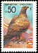 Golden Eagle Aquila chrysaetos  1992 Eagle 