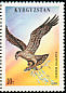 Western Osprey Pandion haliaetus  1995 Birds 