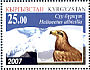 White-tailed Eagle Haliaeetus albicilla  2007 Birds of prey 