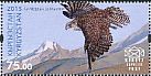 Saker Falcon Falco cherrug  2015 Traditional hunting 