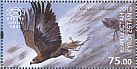 Golden Eagle Aquila chrysaetos  2015 Traditional hunting Sheet