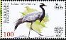 Demoiselle Crane Grus virgo  2018 Birds 