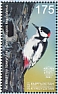 White-winged Woodpecker Dendrocopos leucopterus  2021 Woodpeckers, joint stamp issue between Kyrgyzstan and Croatia Sheet