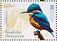 Common Kingfisher Alcedo atthis