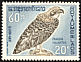 Western Osprey Pandion haliaetus  1966 Birds 