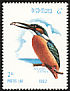 Common Kingfisher Alcedo atthis  1982 Birds 