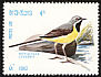 Grey Wagtail Motacilla cinerea  1982 Birds 