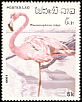 American Flamingo Phoenicopterus ruber  1986 Animals 7v set