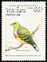 Orange-breasted Green Pigeon Treron bicinctus  1988 Birds 